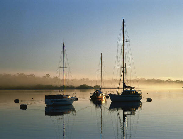 Sailboat Art Print featuring the photograph Moored Boats At Sunrise by Richard I'anson