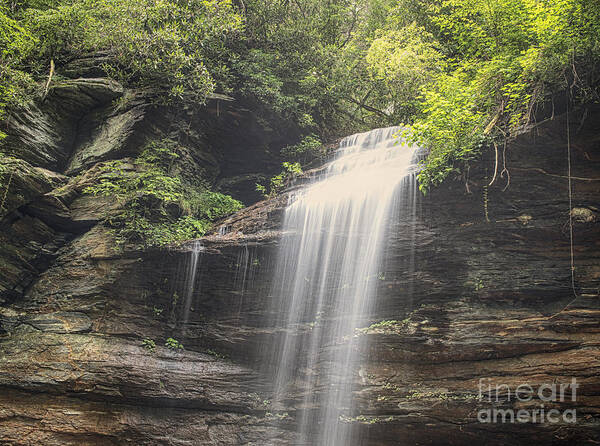 Waterfall Art Print featuring the photograph Moore's Cove Falls by Louise St Romain