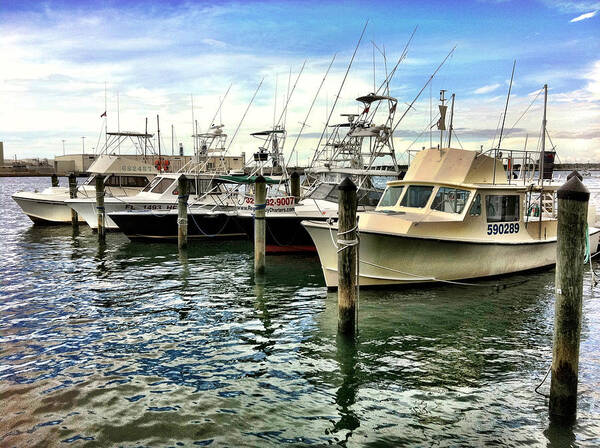 Tiki Bar Cape Canaveral Fl Art Print featuring the photograph Moorings at the Cape by Carlos Avila