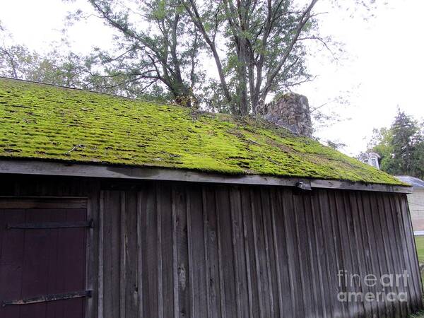 Moss Art Print featuring the photograph Moss Covered Roof by Susan Carella