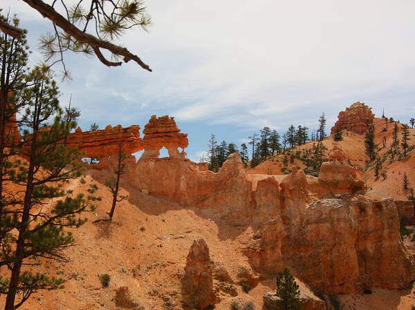 Bryce Art Print featuring the photograph Mossey Creek Trail Arches by Jean Clark