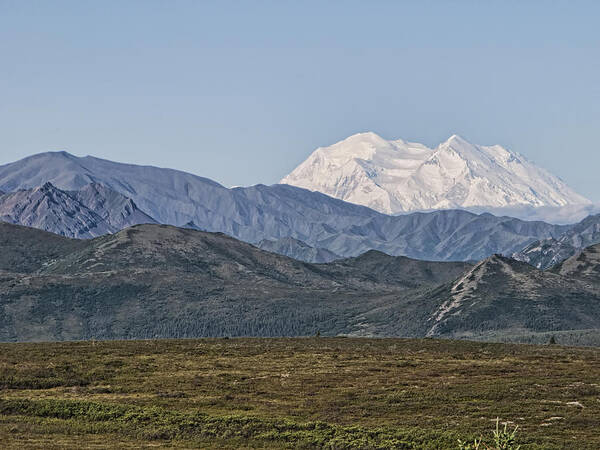 Mt. Mckinley Art Print featuring the photograph Mt. McKinley aka Denali by Phyllis Taylor