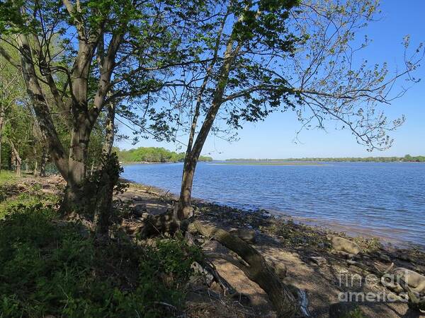 Nature Art Print featuring the photograph Mud Island by Dawn Gari