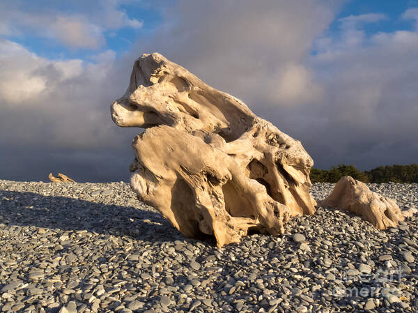 Background Art Print featuring the photograph Naturally sculpted waterworn wood on pebble beach by Stephan Pietzko