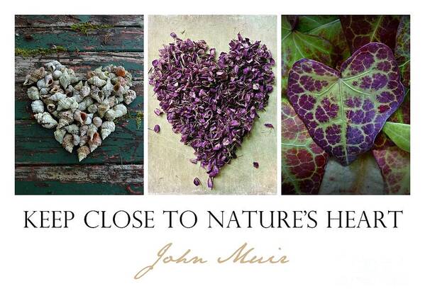 John Muir Art Print featuring the photograph Nature's Heart by Patricia Strand