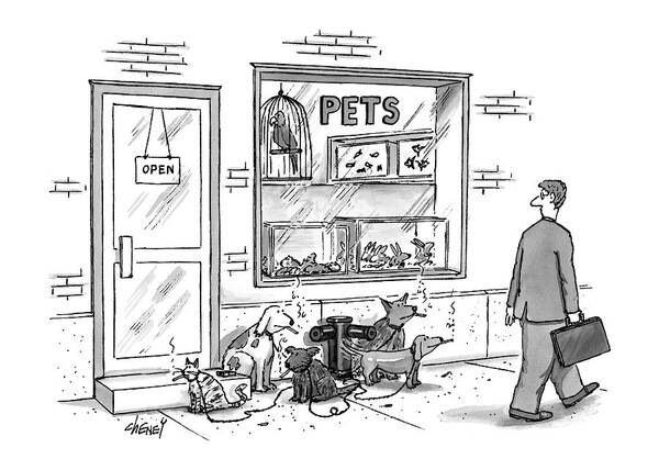 Pet Stores Art Print featuring the drawing New Yorker May 12th, 1997 by Tom Cheney