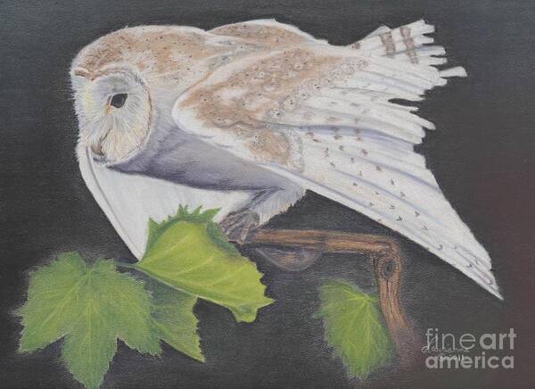 Barn Owl Art Print featuring the painting Nght Owl by Laurianna Taylor