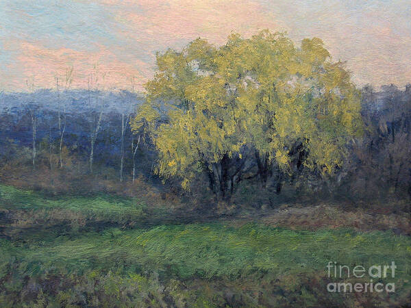 Willow Art Print featuring the painting November Willow by Gregory Arnett