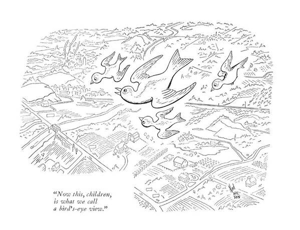 113386 Nhi Ned Hilton One Bird To Another.
 Animals Another Bird Birds Child Childhood Children Cities City Direction Directional Directions Families Family ?ight ?y ?ying Kids Layout Map Maps One Parenting Parents Rearing Topographic Topography Town Towns Art Print featuring the drawing Now This, Children, Is What We Call A Bird's-eye by Ned Hilton