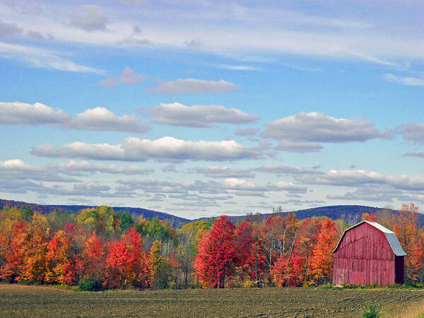 Autumn Landscape Art Print featuring the photograph October In Upstate New York by Byron Varvarigos