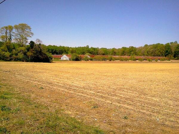 Old Chicken House Farm Field Art Print featuring the photograph Old Chicken House On A Farm Field by Chris W Photography AKA Christian Wilson