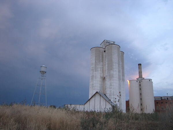 Sugarmill Art Print featuring the photograph Old Sugarmill by Sarah Tanksalvala