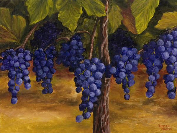Kitchen Art Art Print featuring the painting On The Vine by Darice Machel McGuire