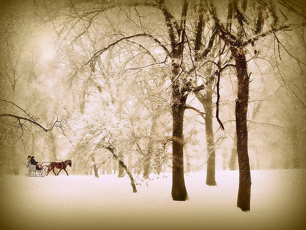Winter Art Print featuring the photograph One Horse Open Sleigh by Jessica Jenney