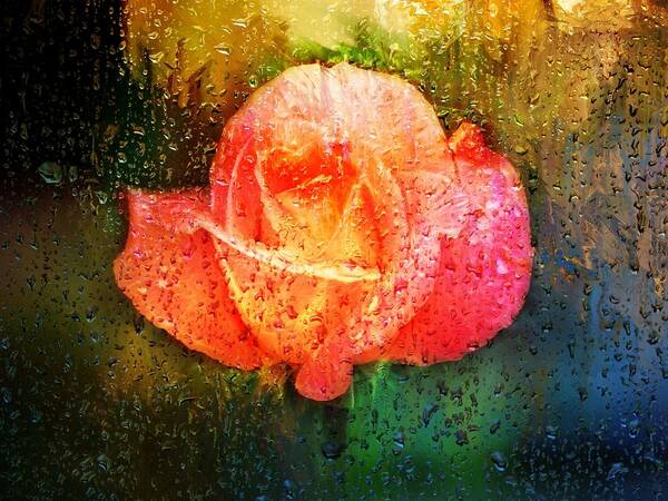 Orange Rose Art Print featuring the digital art Orange Rose and rain drops by Lilia S