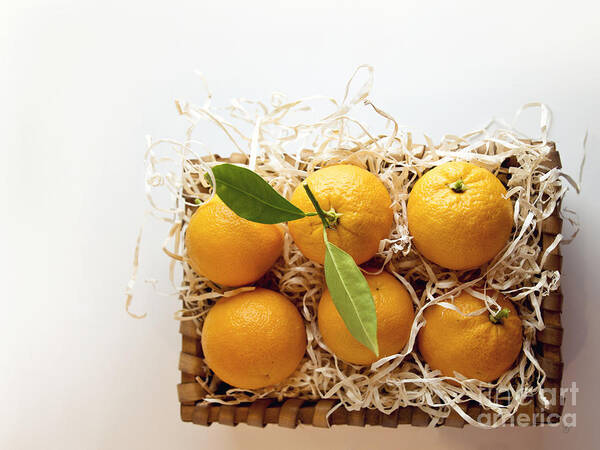 Orange Art Print featuring the photograph Oranges by Cindy Garber Iverson