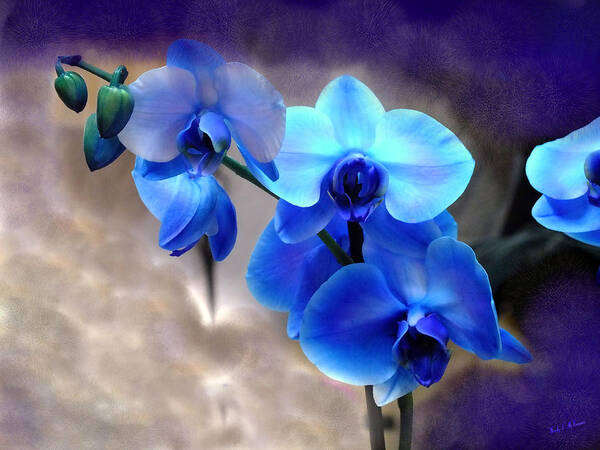 Orchids Art Print featuring the photograph Orchid Art by Wendy McKennon