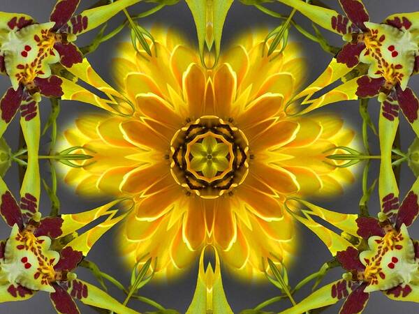 Mandalas Art Print featuring the digital art Orchid Flower Star Mandala by Diane Lynn Hix