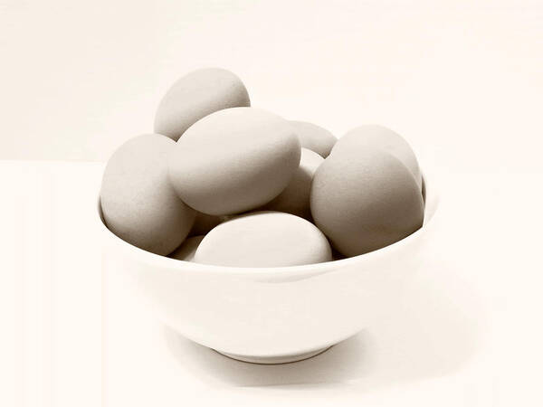 Eggs Art Print featuring the photograph Organic Dozen by Julie Palencia