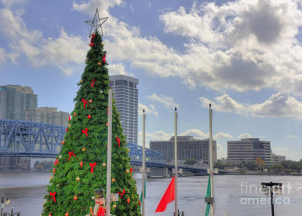 Jacksonville Art Print featuring the photograph Outdoor Chtristmas Tree cityscape by Ules Barnwell