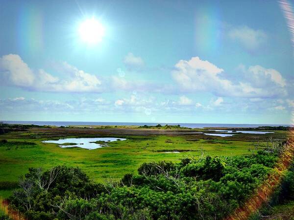 Outer Banks Art Print featuring the photograph Outer Banks Tranquility by Chris Montcalmo