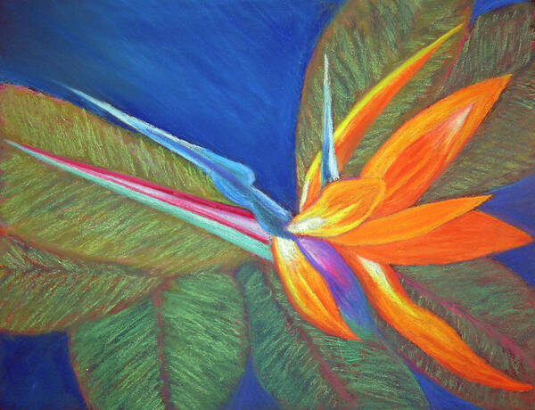 Bird Of Paradise Art Print featuring the painting Paradise Pastel by Patricia Beebe
