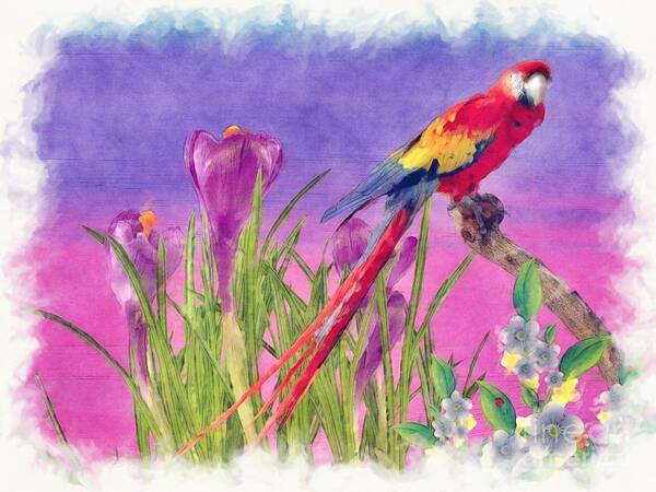 Parrot Art Print featuring the painting Parrot by Liane Wright