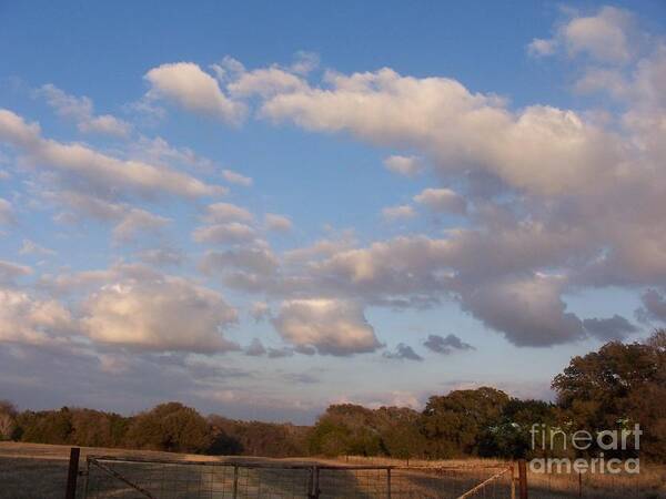 Landscape Art Print featuring the photograph Pasture Clouds by Susan Williams