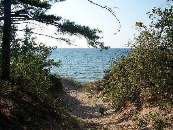 Path Art Print featuring the photograph Path to Lake Michigan by Kathleen Luther