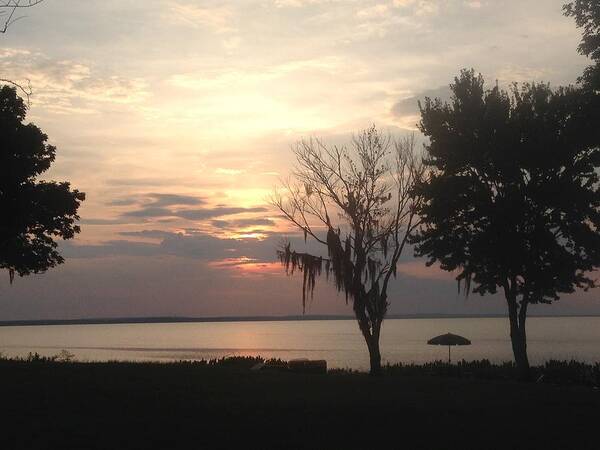 Landscape Art Print featuring the photograph Peaceful Evening by the Lake by Malia Johnson