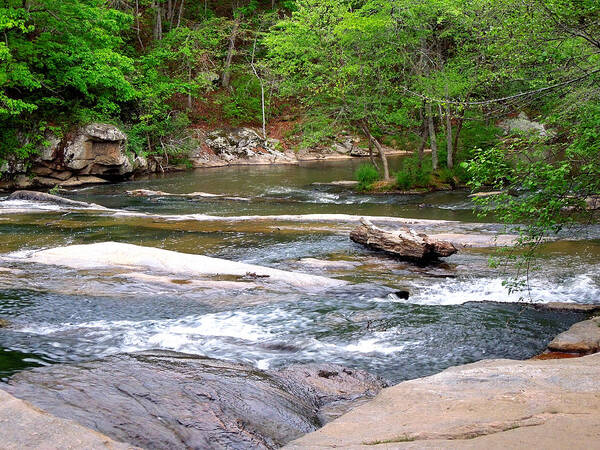 Park Art Print featuring the photograph Peaceful by Pete Trenholm