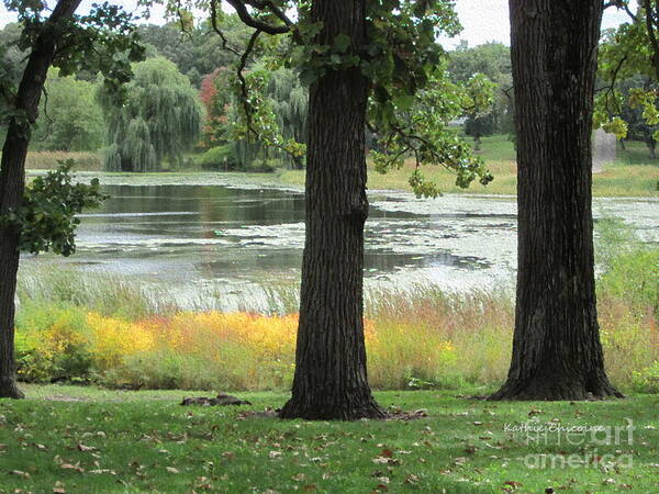 Trees Art Print featuring the photograph Peaceful Water by Kathie Chicoine