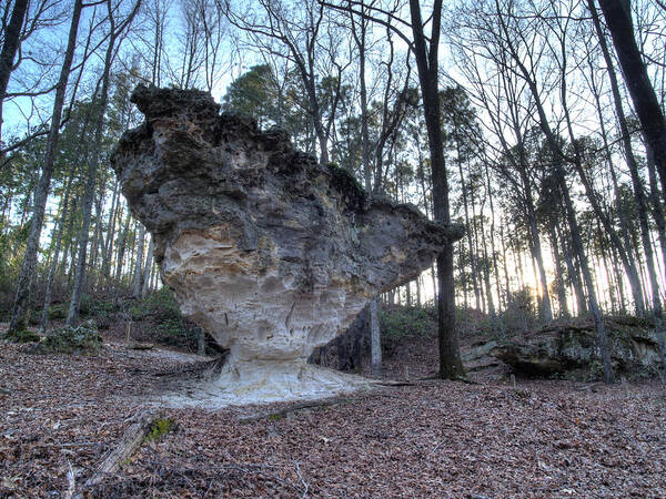 Peach Art Print featuring the photograph Peach Tree Rock-4 by Charles Hite