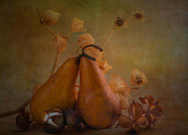 Still Life Art Print featuring the photograph Pear still life by Carolyn D'Alessandro