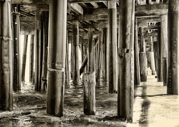 Boardwalk Art Print featuring the photograph Peeking Under the Pier By Diana Sainz by Diana Raquel Sainz