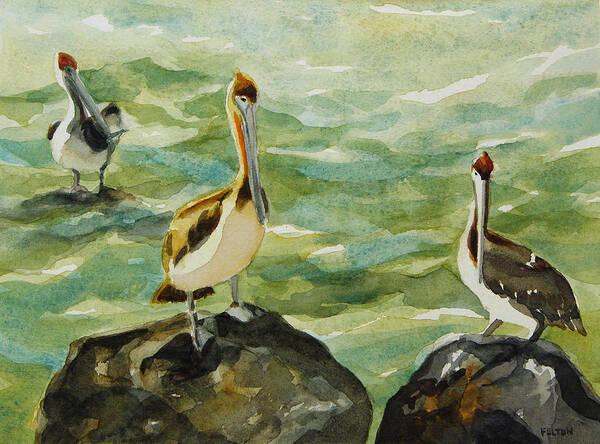 Original Watercolors Art Print featuring the painting Pelicans by Julianne Felton 9-30-13 by Julianne Felton