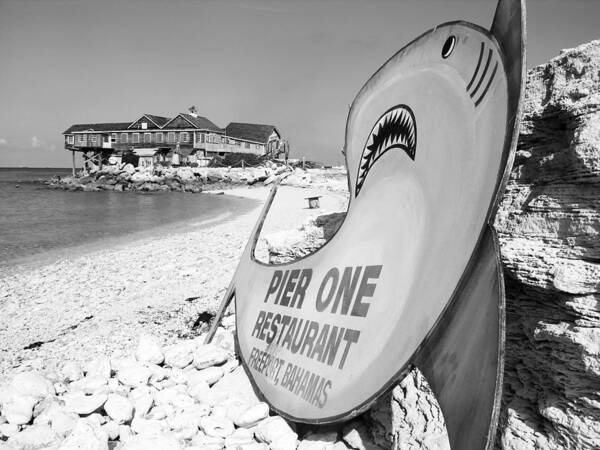 Fish Art Print featuring the photograph Pier One by Ramunas Bruzas