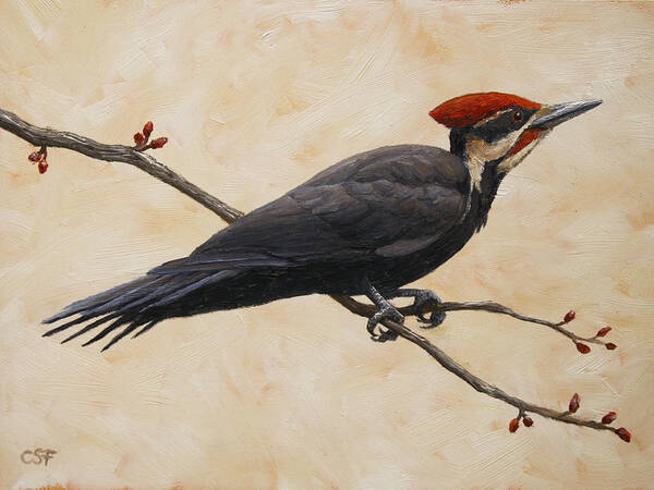 Bird Art Print featuring the painting Pileated Woodpecker by Crista Forest
