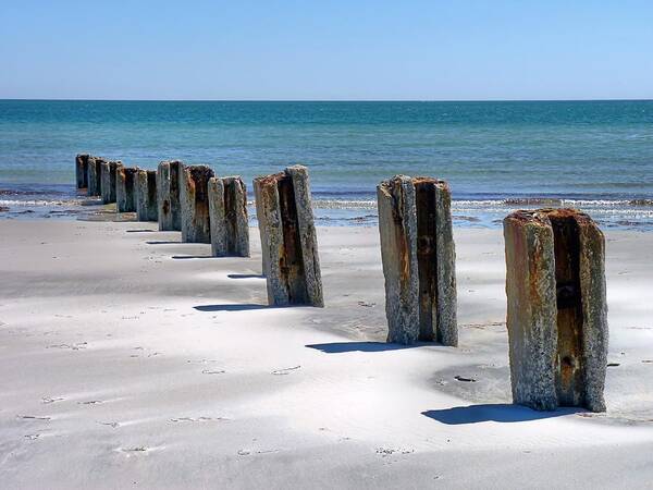 Beach Art Print featuring the photograph Pilings by Janice Drew