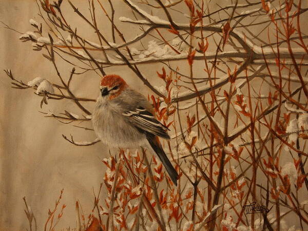 Bird Art Print featuring the painting Pine Grosbeak by Tammy Taylor