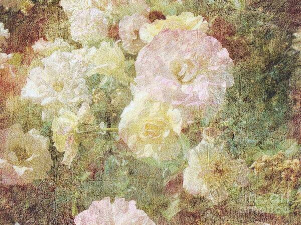 Roses Art Print featuring the photograph Pink and White Roses with Tapestry Look by Janette Boyd