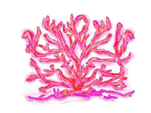 Sea Art Print featuring the digital art Pink Coral by Christine Fournier