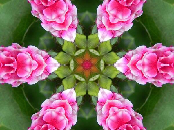 Mandalas Art Print featuring the digital art Pink Flower Star Mandala by Diane Lynn Hix