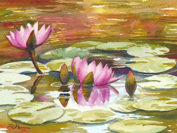 Waterlilies Art Print featuring the painting Pink Waterlilies by Janet Zeh