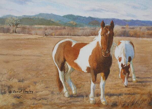 Painting Art Print featuring the painting Pinto Horses on the Front Range by Daniel Dayley