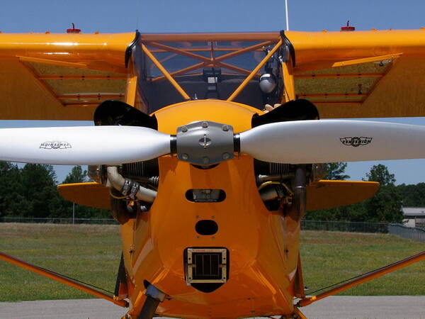 Piper Cub Art Print featuring the photograph Piper Cub by Phil And Karen Rispin