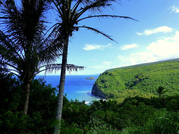 Hawaii Art Print featuring the photograph Pololu Valley by Lori Seaman