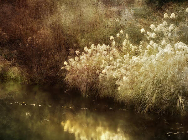 Landscape Art Print featuring the photograph Pond's Edge by Julie Palencia