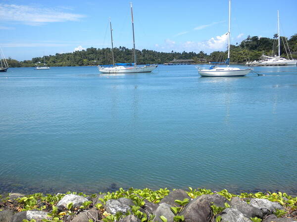 Dock Art Print featuring the photograph Port Antonio Dock by Dean Griffiths