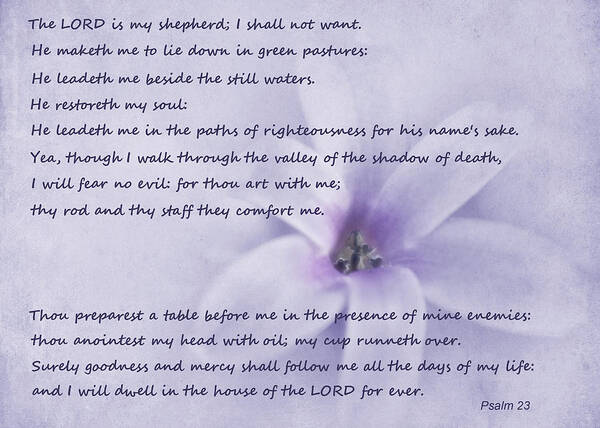 Bible Art Print featuring the photograph Psalm 23 by David and Carol Kelly